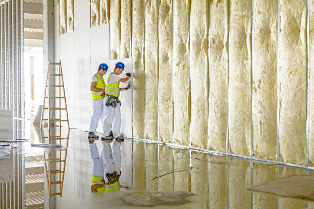 Best Eco-Friendly Insulation in Rowland Heights, CA